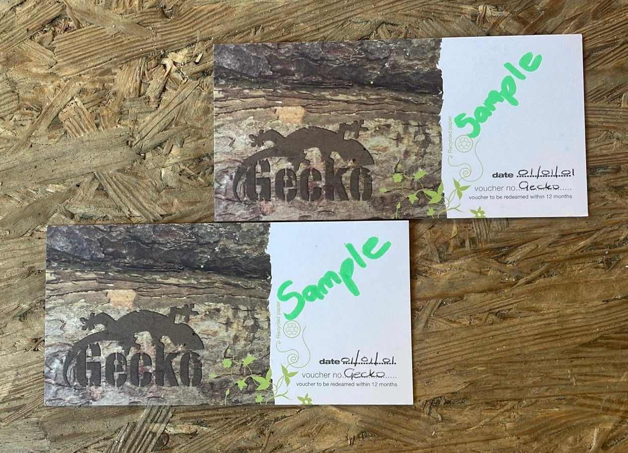 Gecko Surf/ Paddleboard Lesson Gift Card